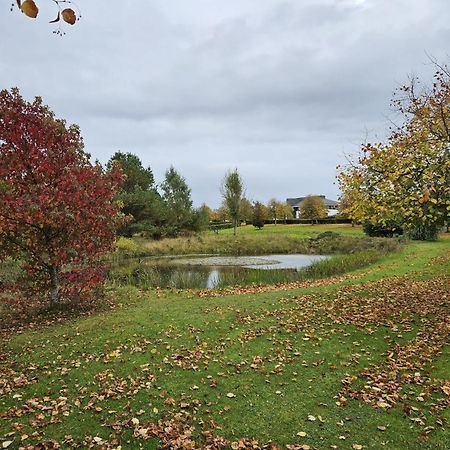 Hazelwood Country House Adare Exteriér fotografie