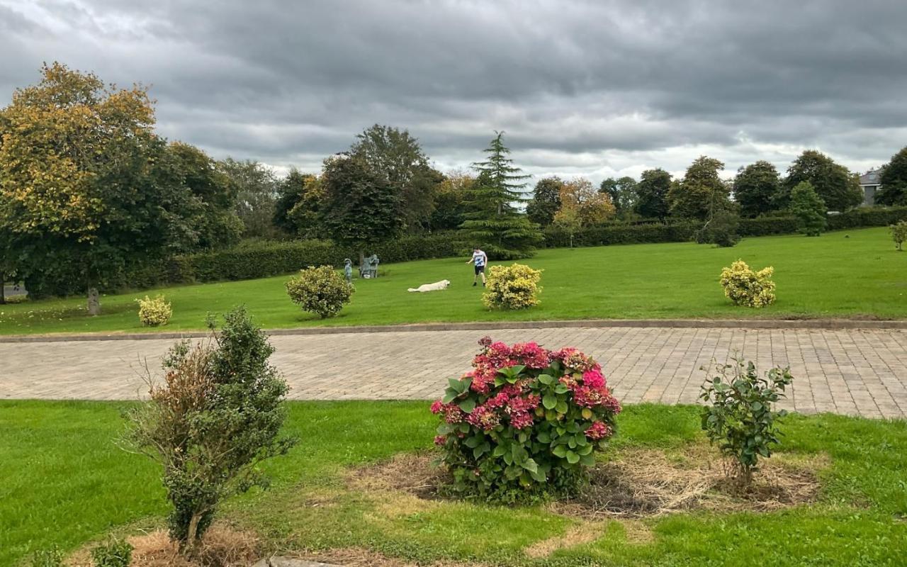 Hazelwood Country House Adare Exteriér fotografie