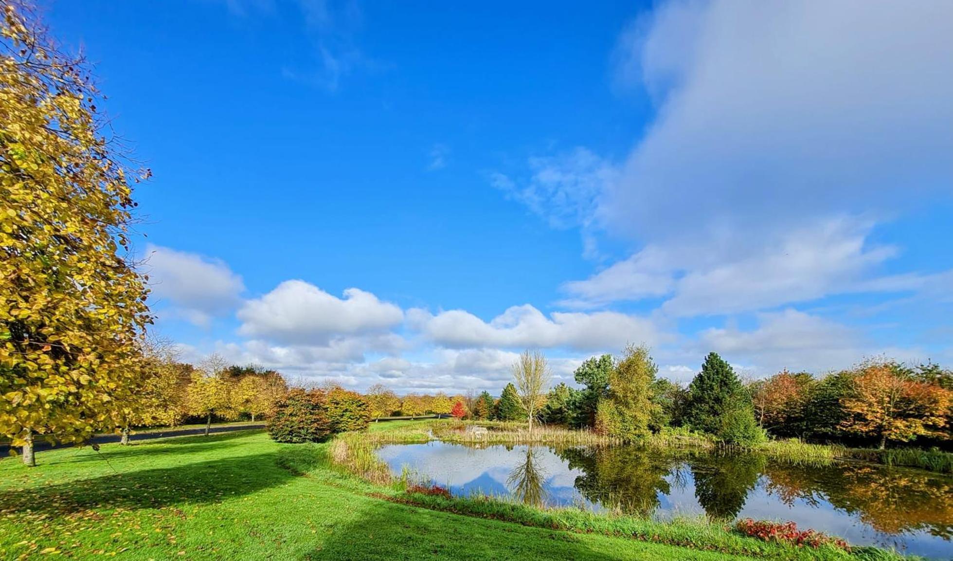 Hazelwood Country House Adare Exteriér fotografie